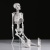 Анатомическая модель Скелет человека 85 см